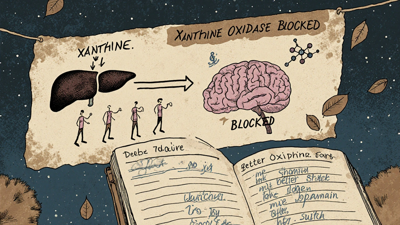 A medical chart with brain-liver connections and falling neurotransmitter molecules, alongside patient journal entries about mood changes.